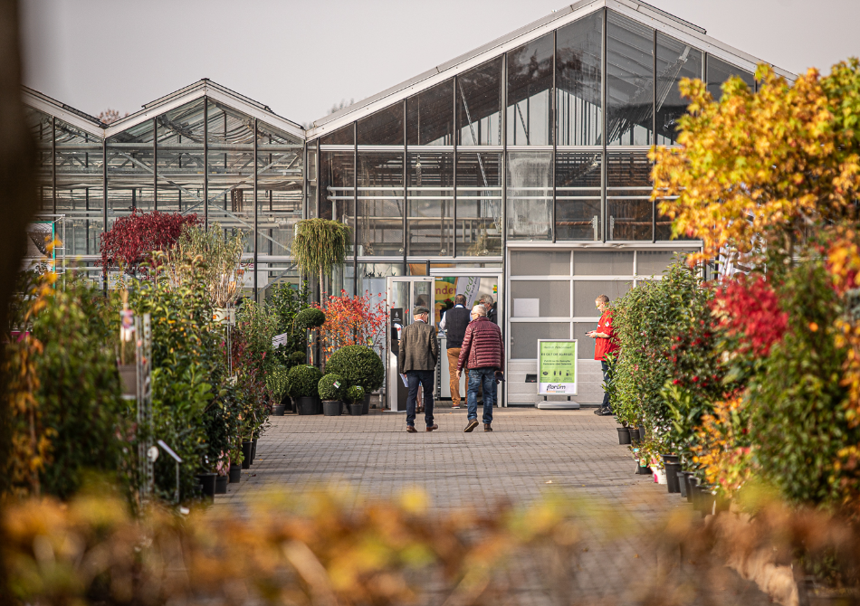 Florum Schleswig-Holstein
